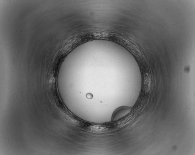 X0000098030614200804181231