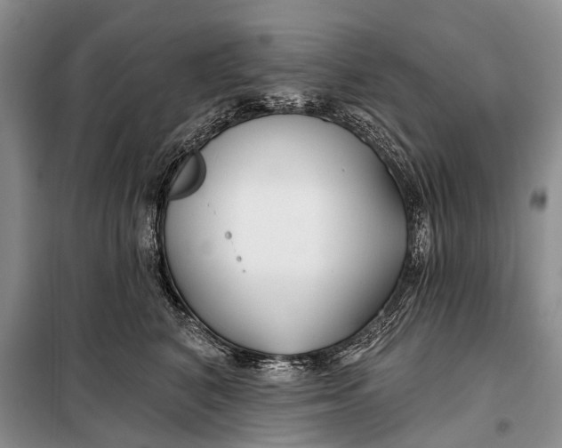 X0000098030616200804181231