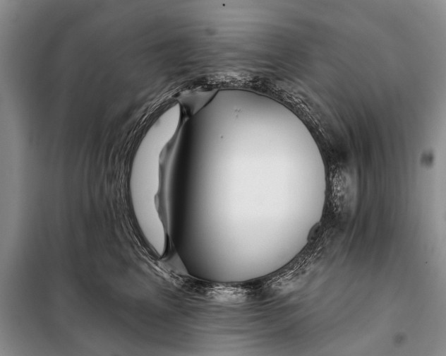 X0000098030617200804181231