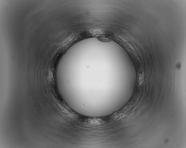 X0000098030618200804181231