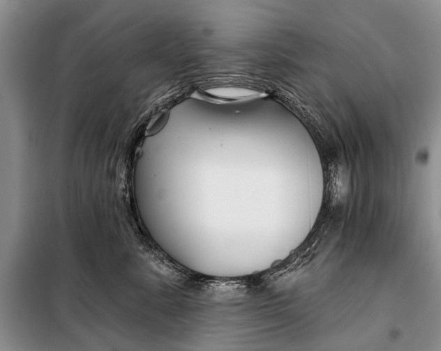 X0000098030619200804181231