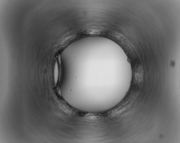 X0000098030620200804181231