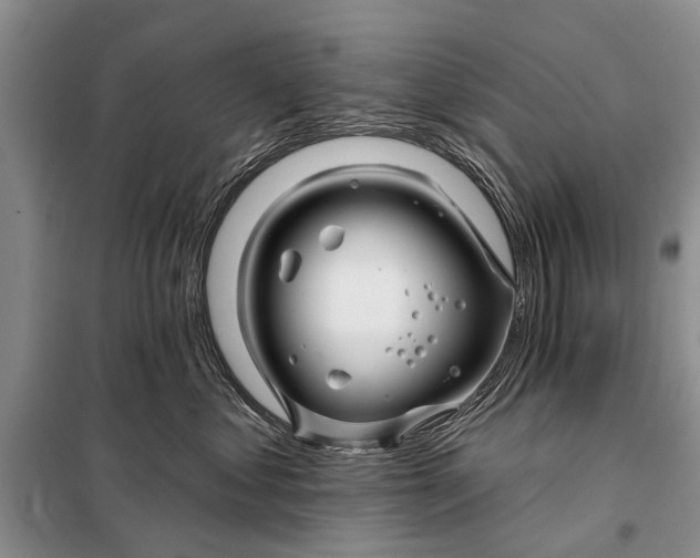 X0000098030621200804181231