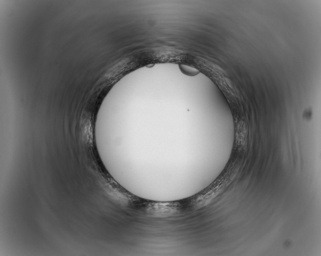 X0000098030622200804181231