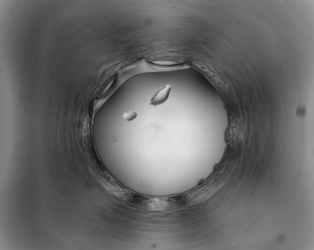 X0000098030623200804181231