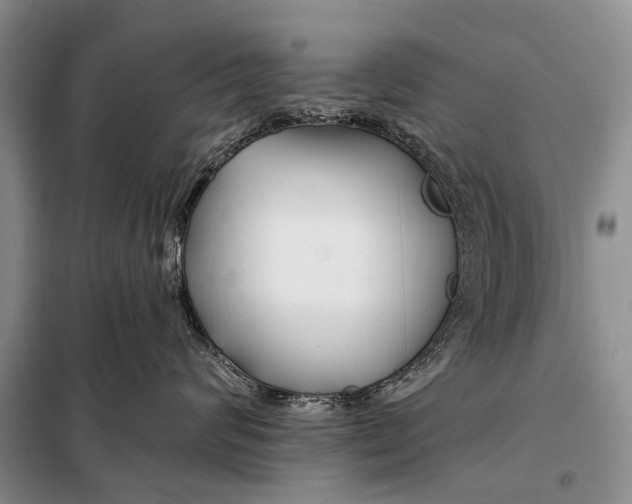 X0000098030624200804181231