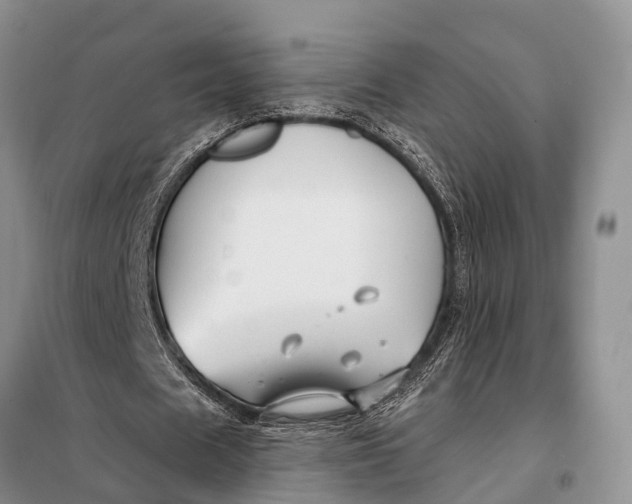 X0000098030625200804181230