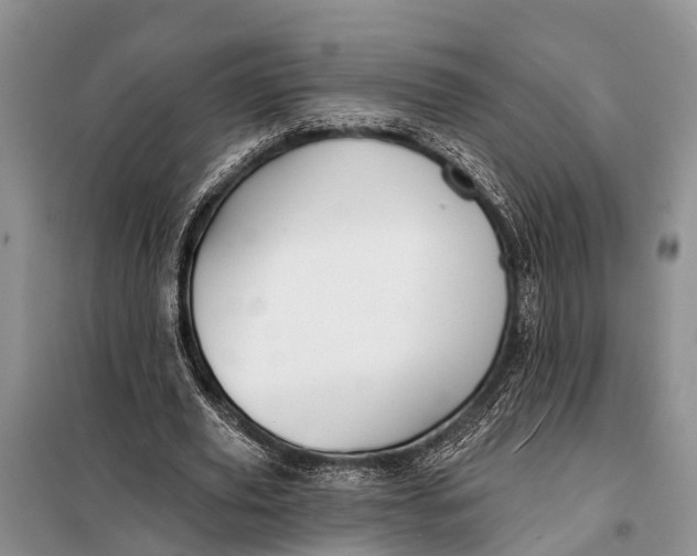 X0000098030629200804181230