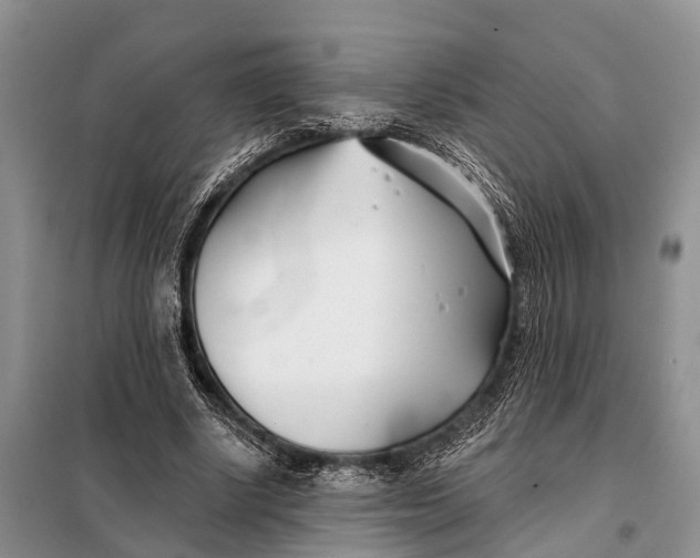 X0000098030634200804181230