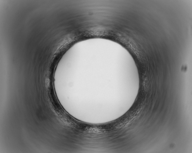 X0000098030635200804181230