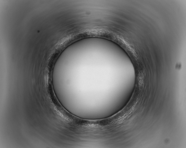 X0000098030637200804181230