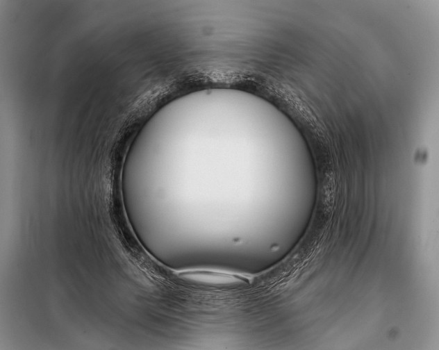 X0000098030639200804181230