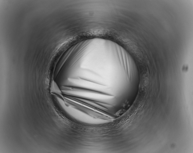 X0000098030640200804181230