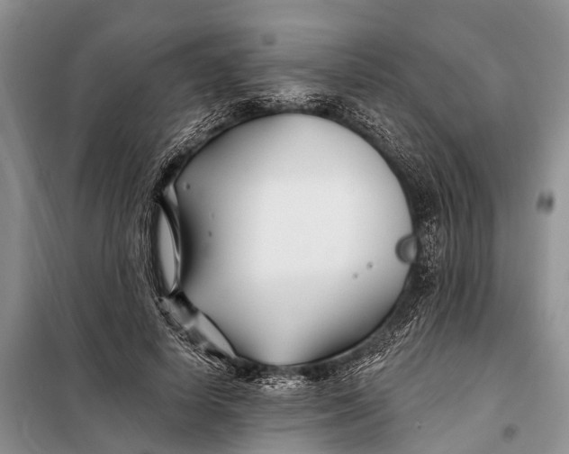 X0000098030642200804181230