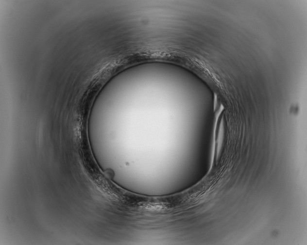 X0000098030643200804181230