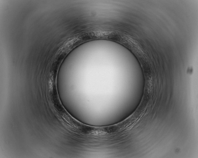 X0000098030644200804181230