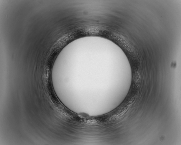 X0000098030645200804181230