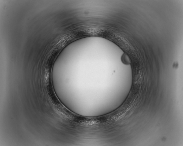 X0000098030646200804181230