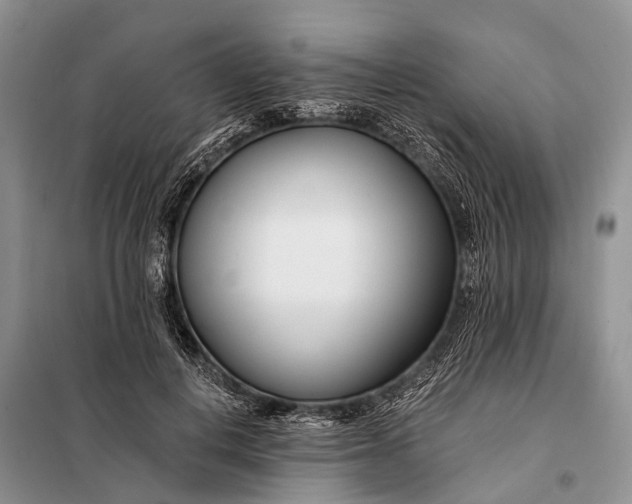 X0000098030648200804181230