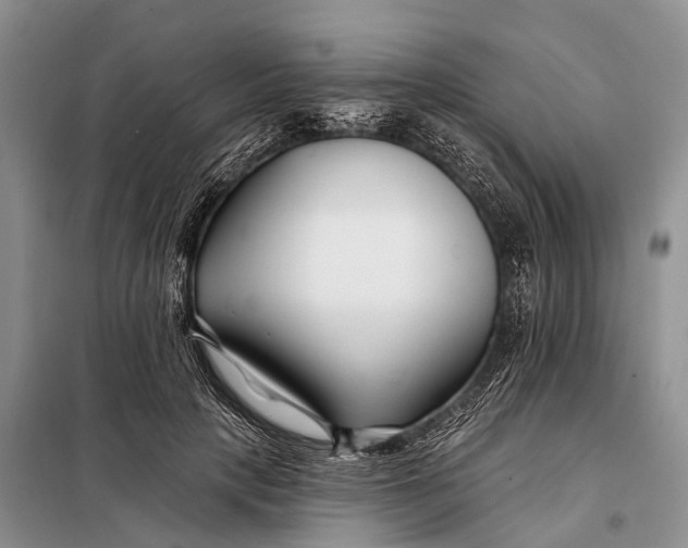 X0000098030649200804181230