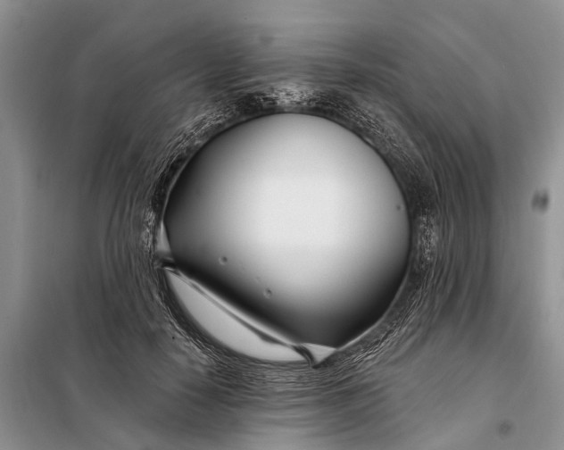 X0000098030650200804181230