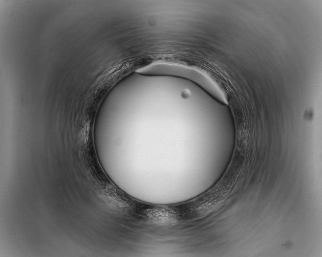 X0000098030652200804181230