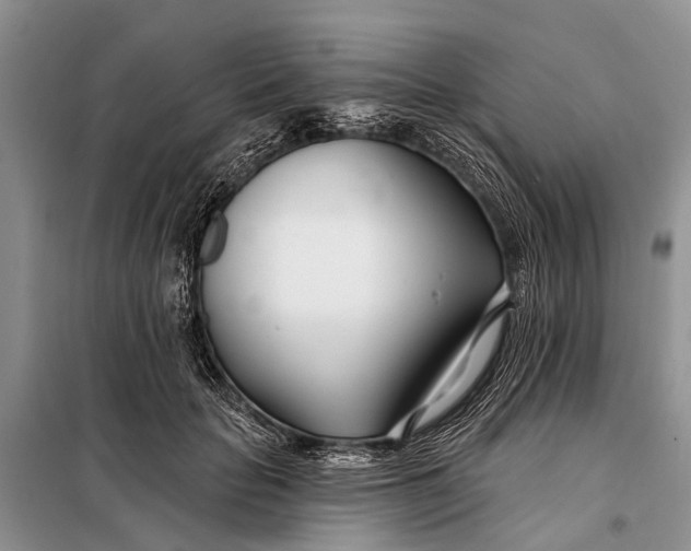 X0000098030653200804181230