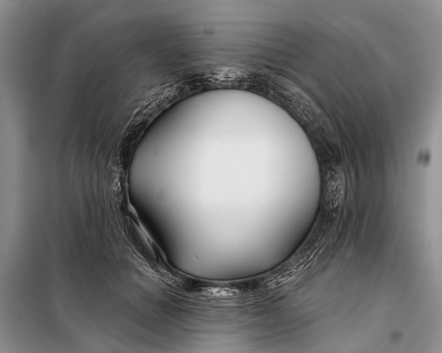 X0000098030654200804181230