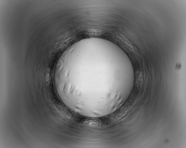 X0000098030655200804181230