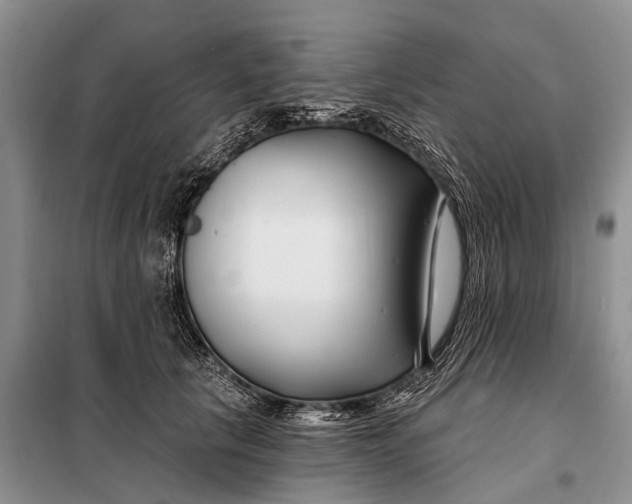 X0000098030657200804181230