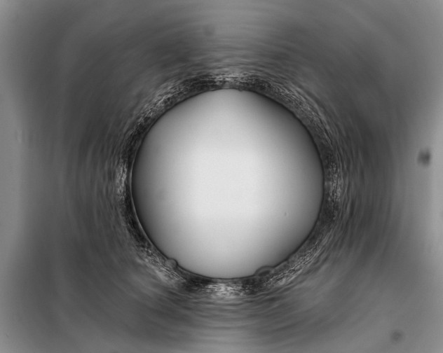 X0000098030660200804181230