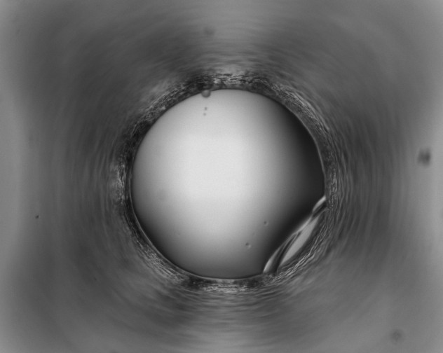 X0000098030661200804181230