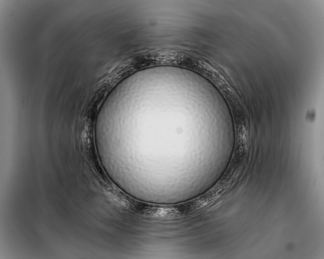 X0000098030663200804181230