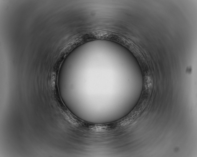 X0000098030664200804181231