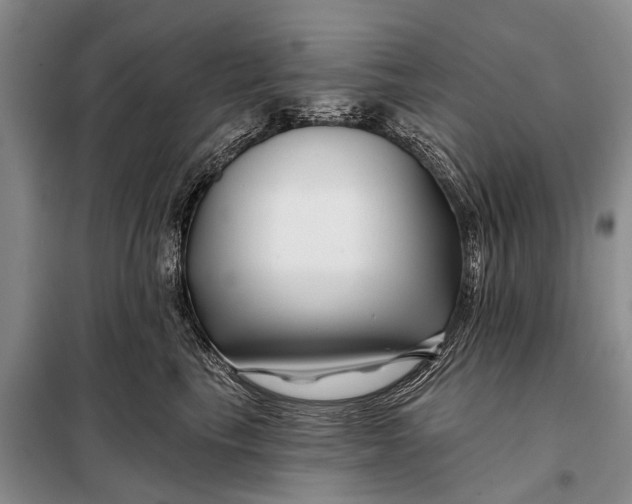 X0000098030665200804181231