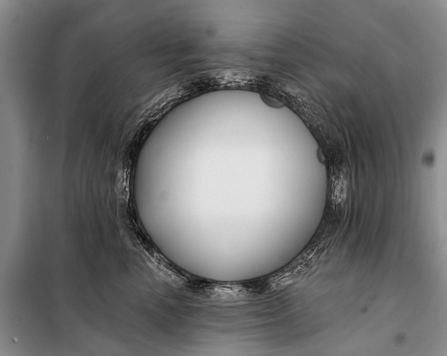 X0000098030666200804181231