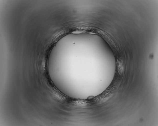 X0000098030668200804181231