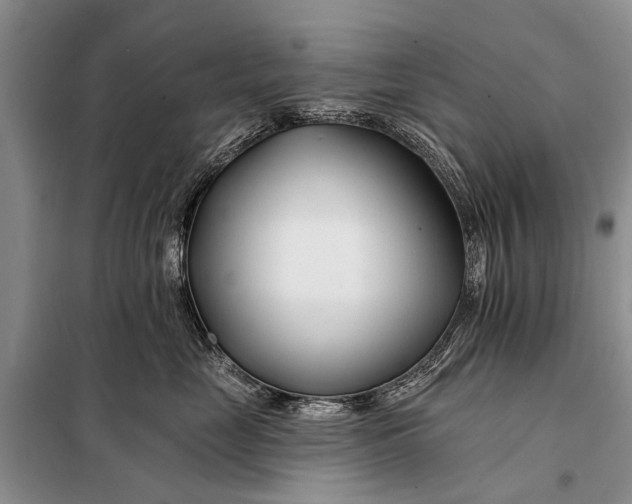 X0000098030669200804181231