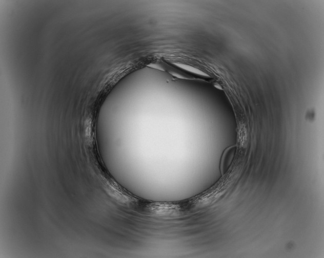 X0000098030670200804181231