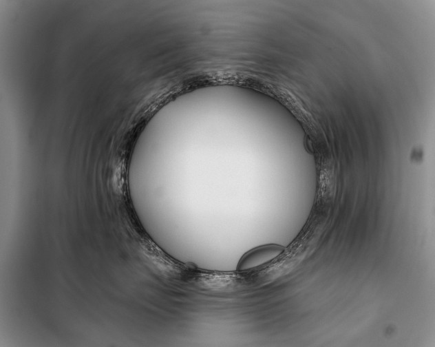 X0000098030671200804181231