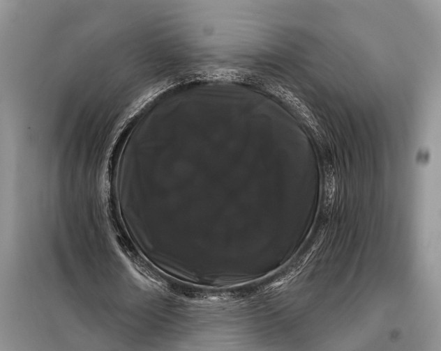 X0000098030674200804181230