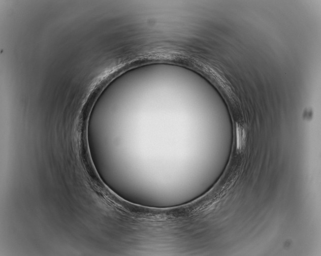 X0000098030675200804181230