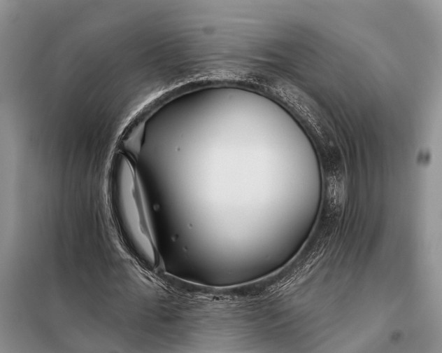 X0000098030676200804181230