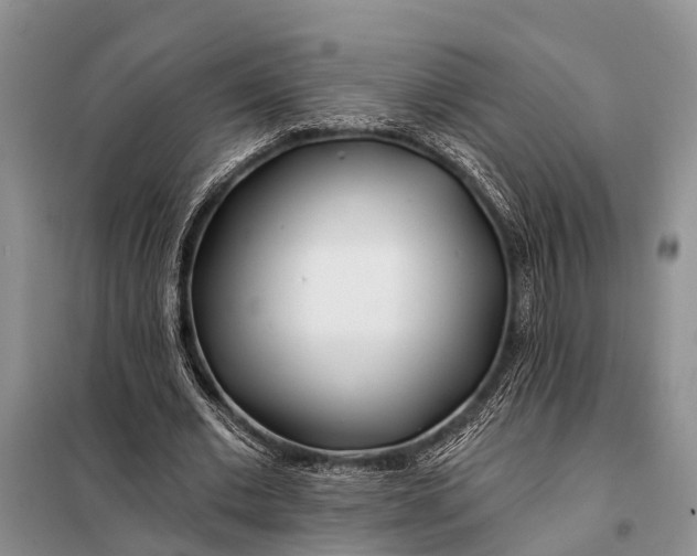 X0000098030677200804181230