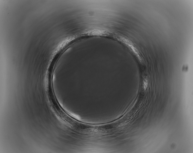 X0000098030678200804181230