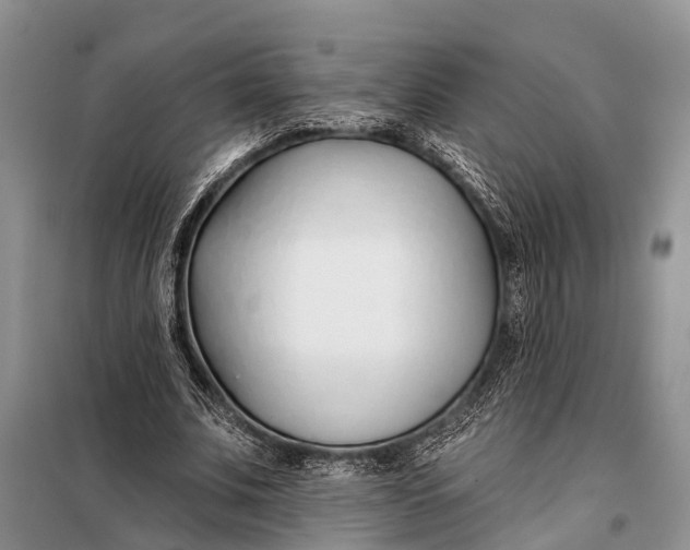 X0000098030679200804181230