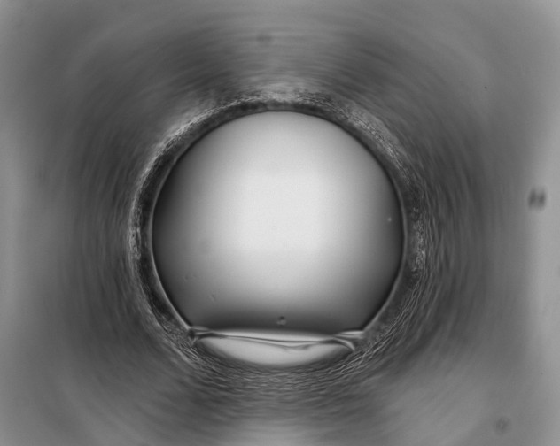 X0000098030680200804181230