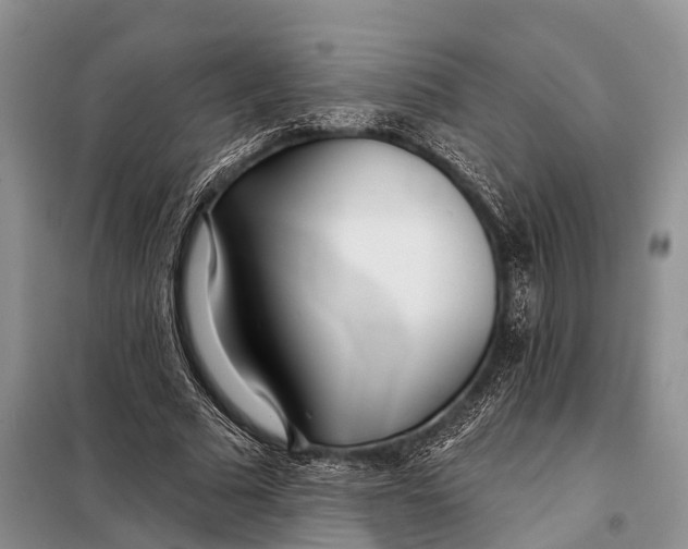 X0000098030681200804181230