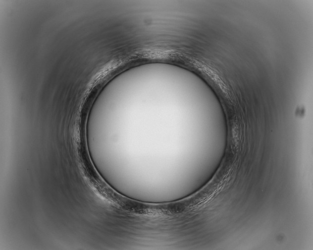 X0000098030682200804181230