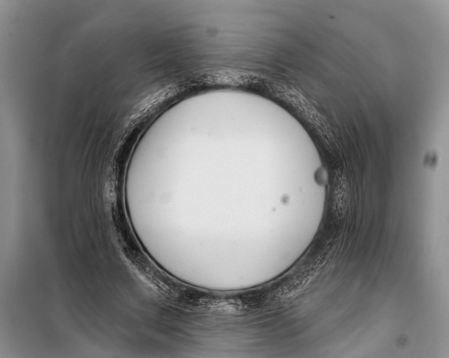 X0000098030683200804181230